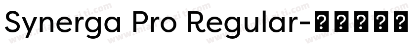 Synerga Pro Regular字体转换